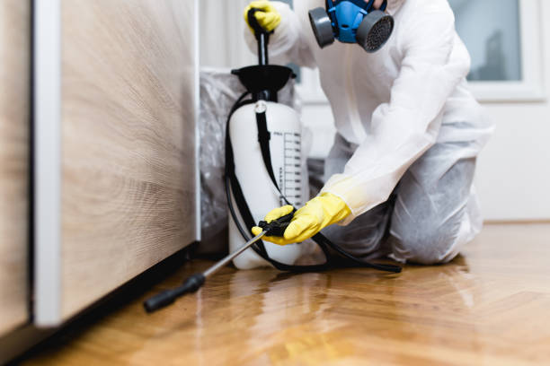 Best Best Pest Control Companies  in Yountville, CA