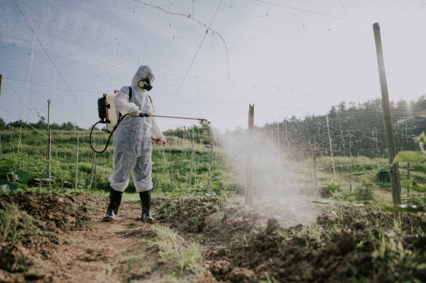 Best Wildlife Control Services  in Yountville, CA