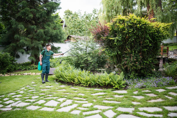 Wildlife Control Services in Yountville, CA