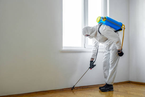 Best Pest Prevention Services  in Yountville, CA