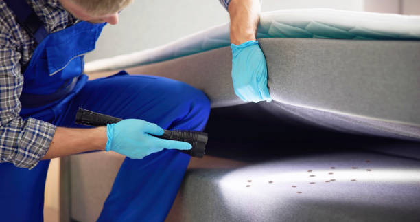 Best Residential Pest Control  in Yountville, CA